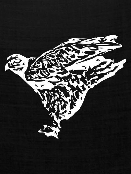Wanderfalke Faucan Vogelräuber