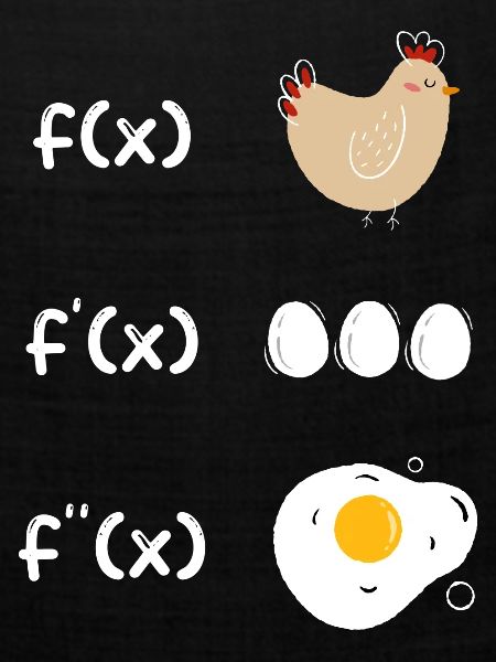 Ableitung Funktion Huhn Mathe