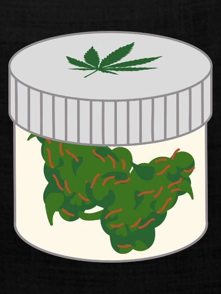 Cannabis Dose