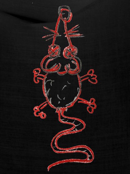Funky Monster "dead rat"