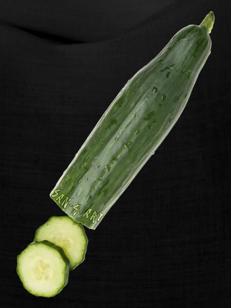 Gurke