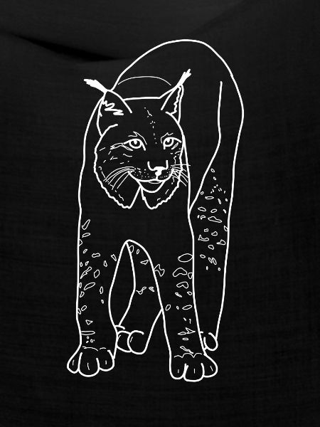 Luchs