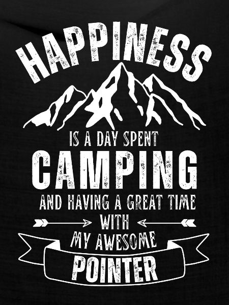 Camping und Pointer