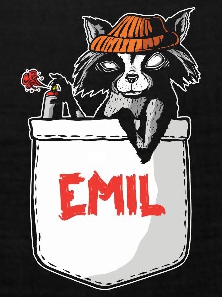 Waschbär Emil