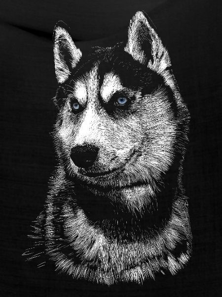 Husky