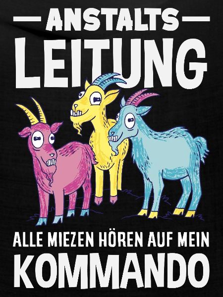 Anstaltsleitung Chef Leitung