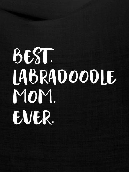 Labradoodle