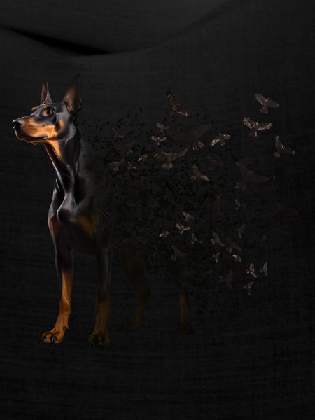 Dobermann