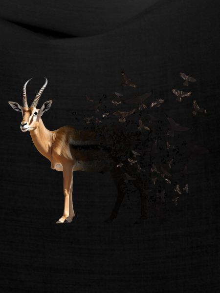 Antilope