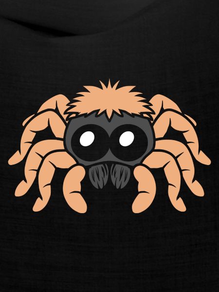 Spinne