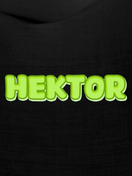 Hektor Hektor