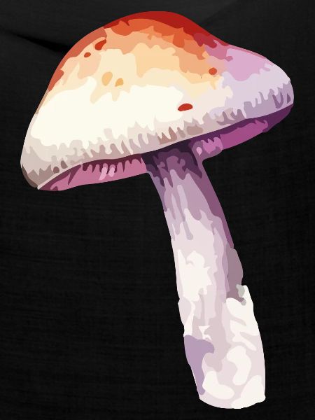 pilz