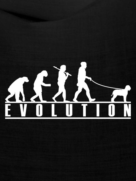 Lagotto Romagnolo Evolution