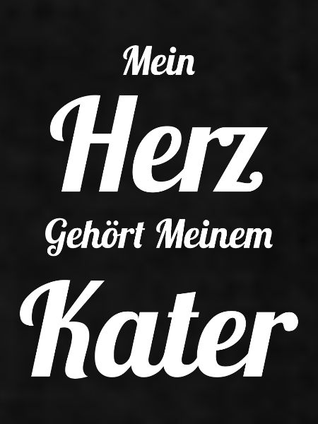 Kater Katze
