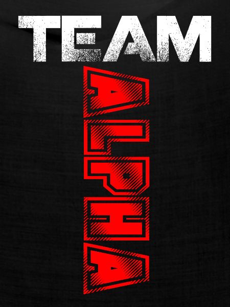 Team Alpha Geschenk T Shirt