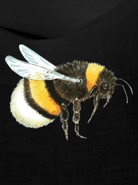 Hummel