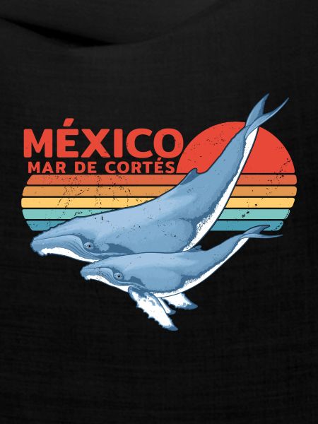 Buckelwale Mexiko