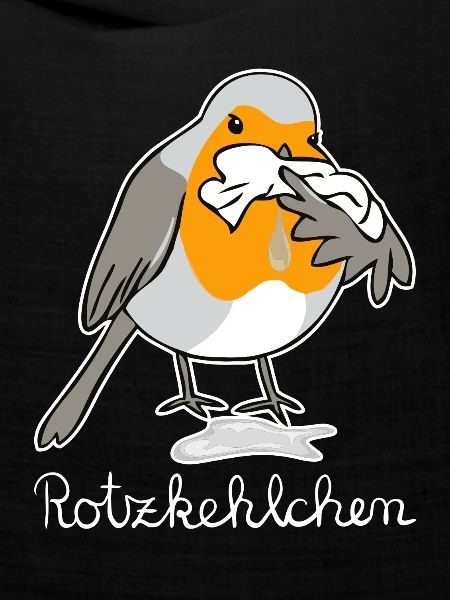 Rotzkehlchen hell Rotkehlchen hat Schnupfen