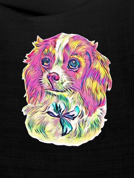 Cavalier King Charles Spaniel