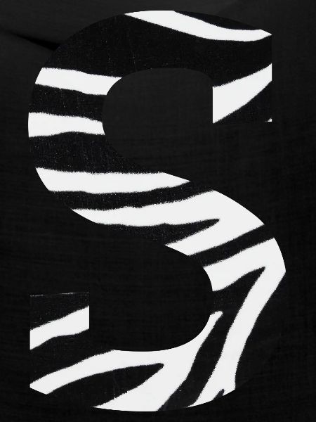 Buchstabe s Zebra