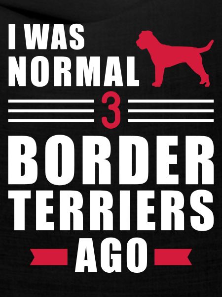 Border Terrier
