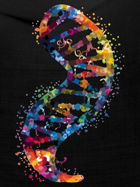 DNA-Molekül