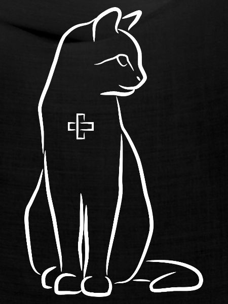 Tierarzt Katze