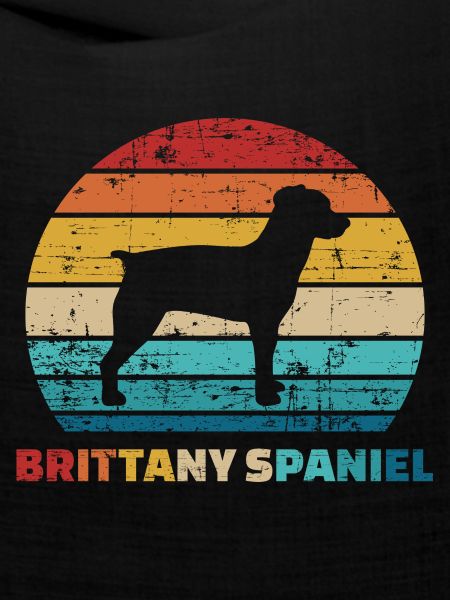 Brittany Spaniel