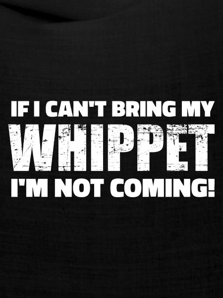 Whippet