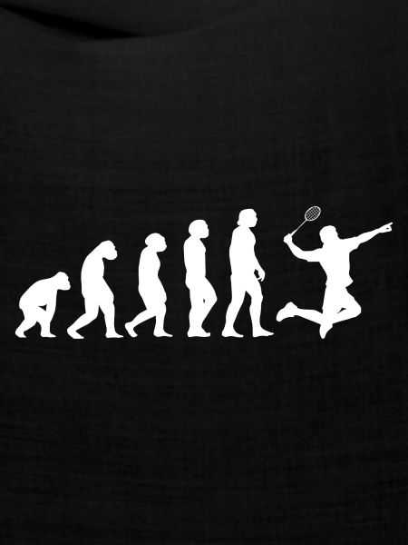 Sport Evolution Badminton
