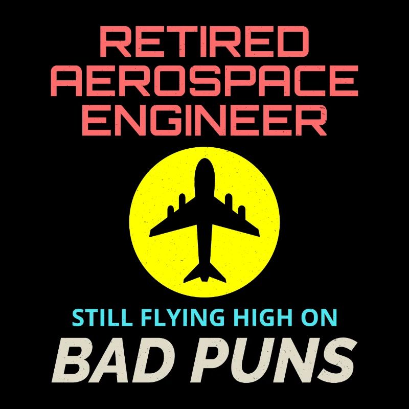 Retired Aerospace Engineer Flight Mechanics Plane