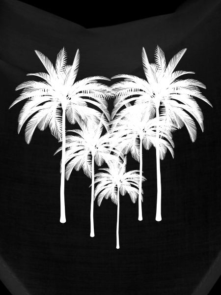 Silhouette de palmiers en contraste nocturne
