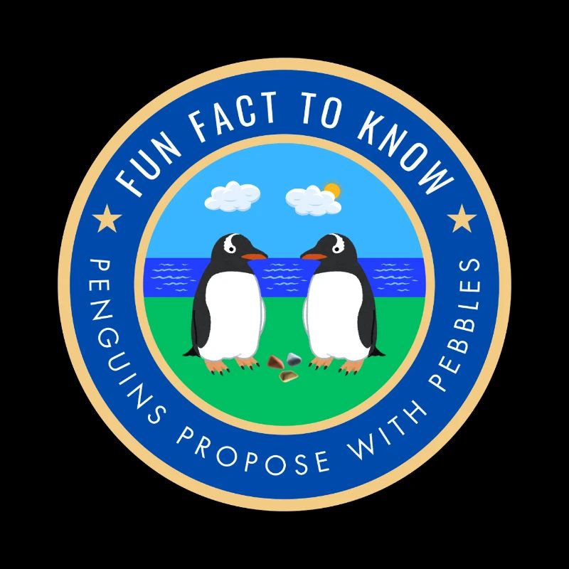 Penguins propose with pebbles