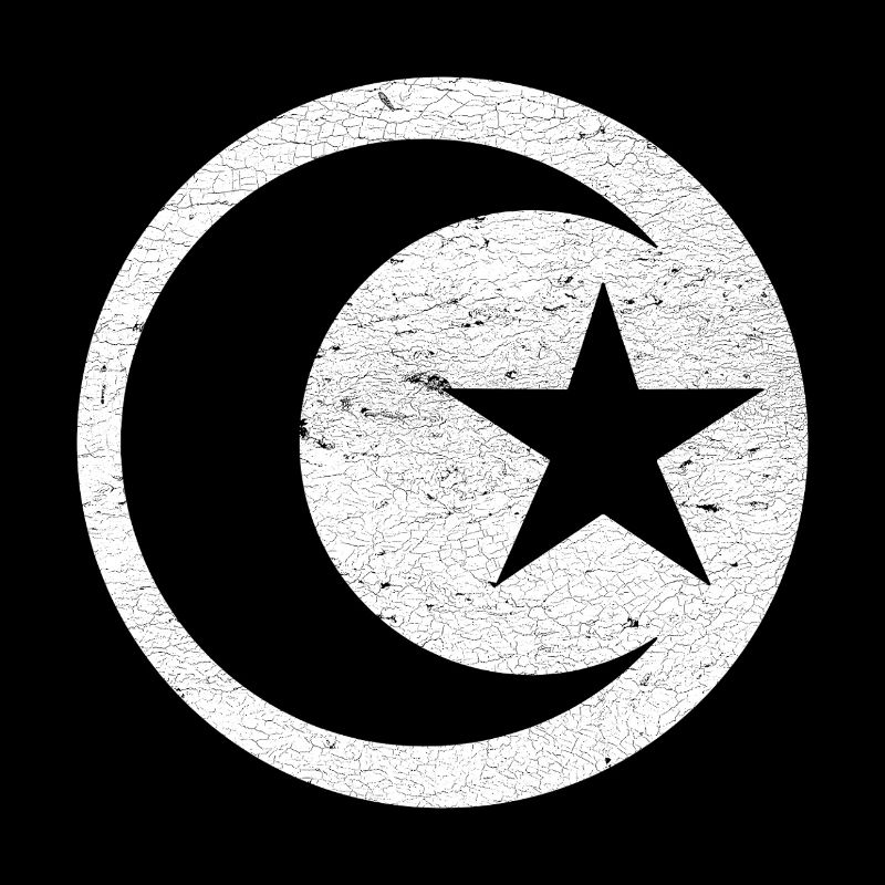 Crescent and star islam white circle