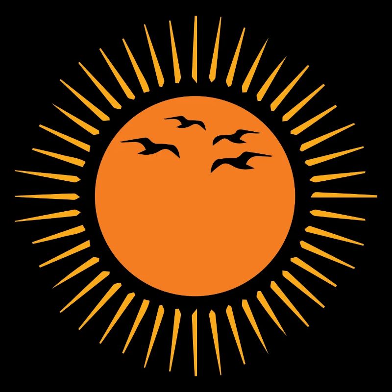 Soleil et oiseaux