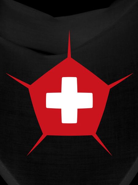 Schweizer fussballsport