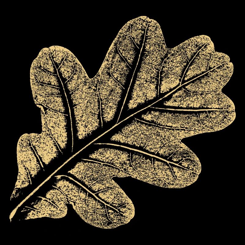 Blatt Eiche / Eichenblatt - Natur Design