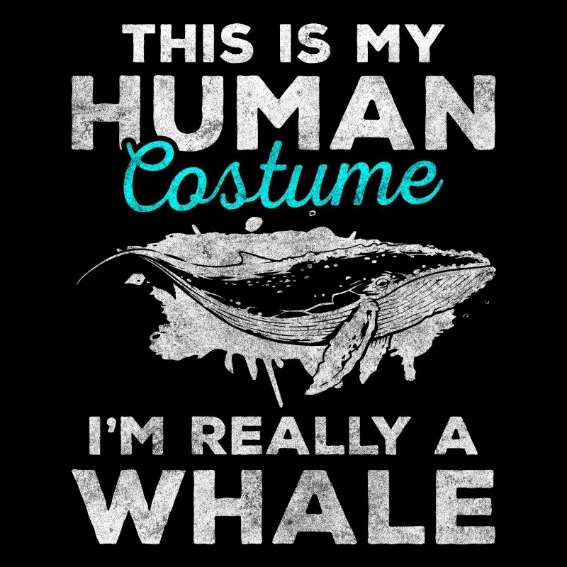Baleines Créatures Marines Lac