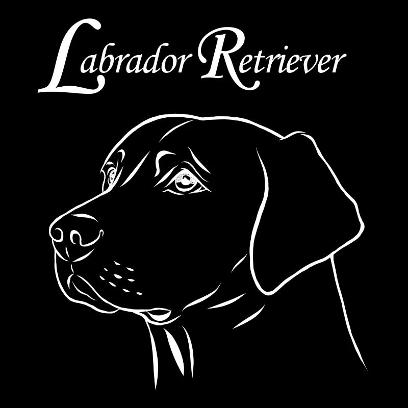 Portrait de labrador retriever