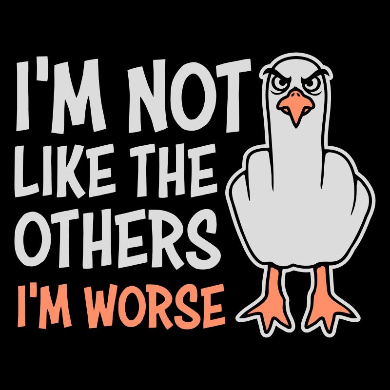 Mittelfinger Möwe Im Not Like The Others I'm Worse