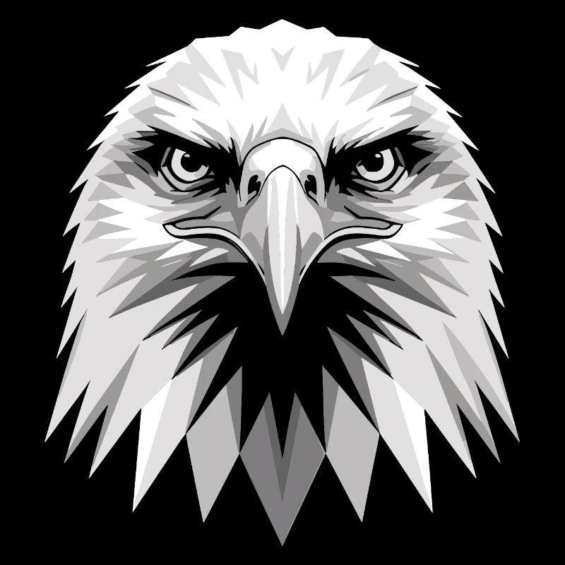 Aigle Pygargue à tête blanche Aigle royal Pygargue à queue blanche