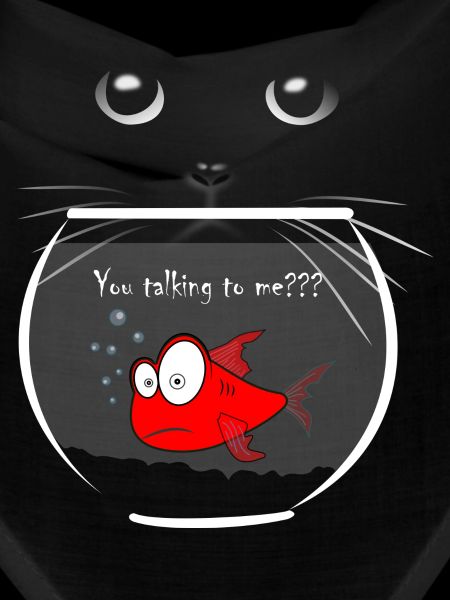 goldfish