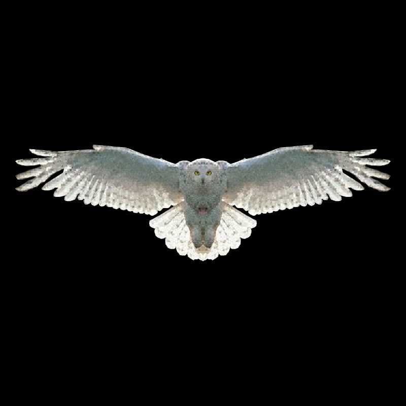 Schneeeule Eule Polygon Vogel Tier Wildtier Uhu