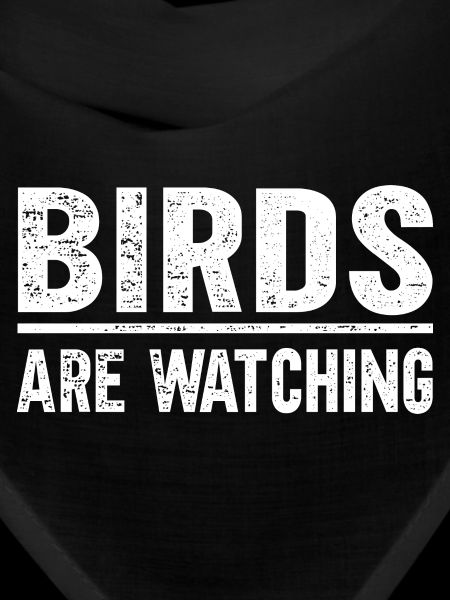 Les oiseaux observent