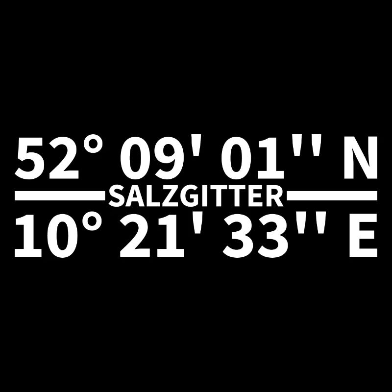 Salzgitter coordinates