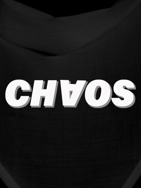 Chaos