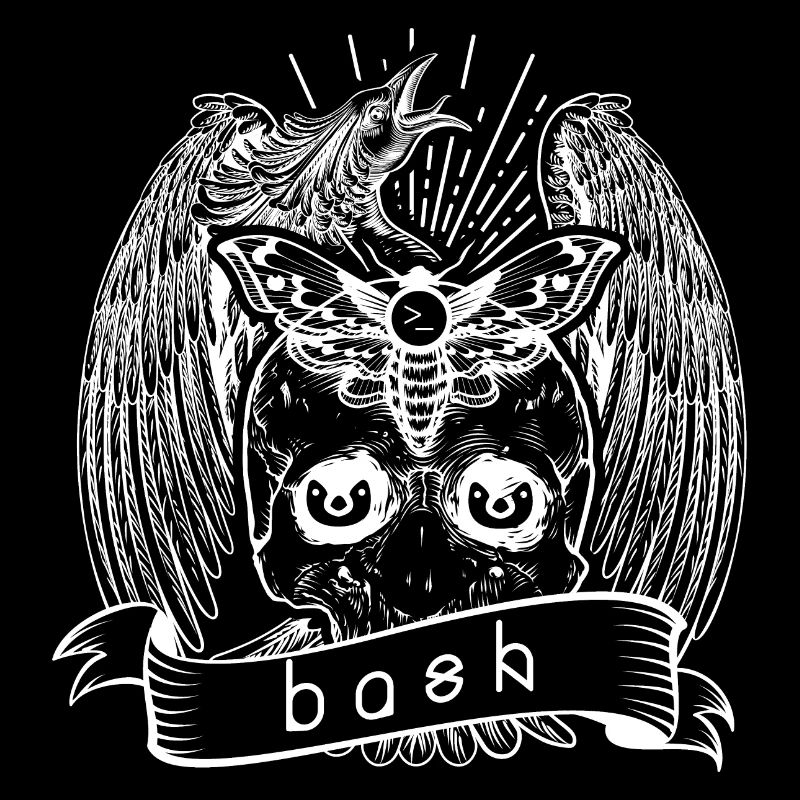 bash shell linux