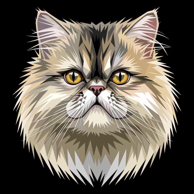 Chat perse Chat persan Chat persan Chat perse Chats mignons