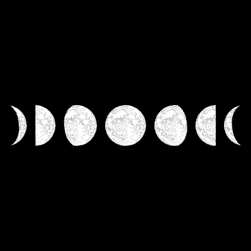 Moon Phase Circle Sequence