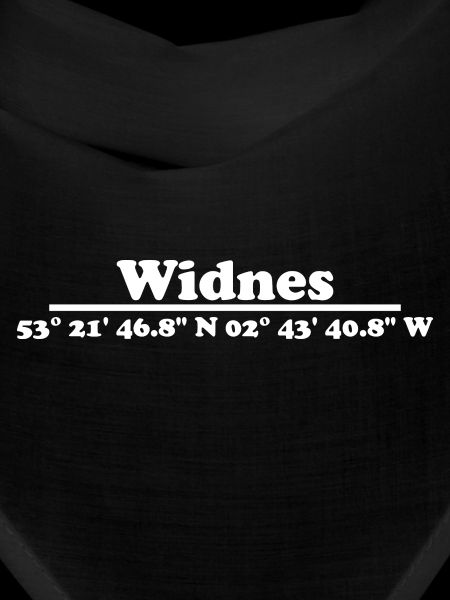 Widnes coordinates